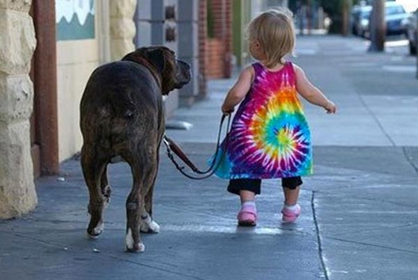 big dog and little girl